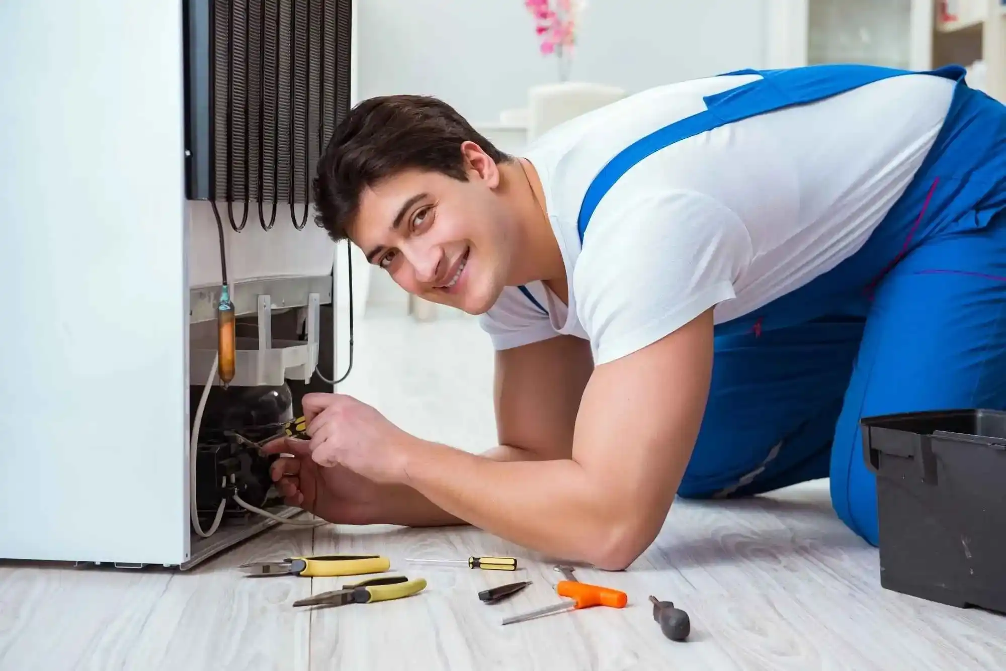 Repair Services in Sheikh Zayed